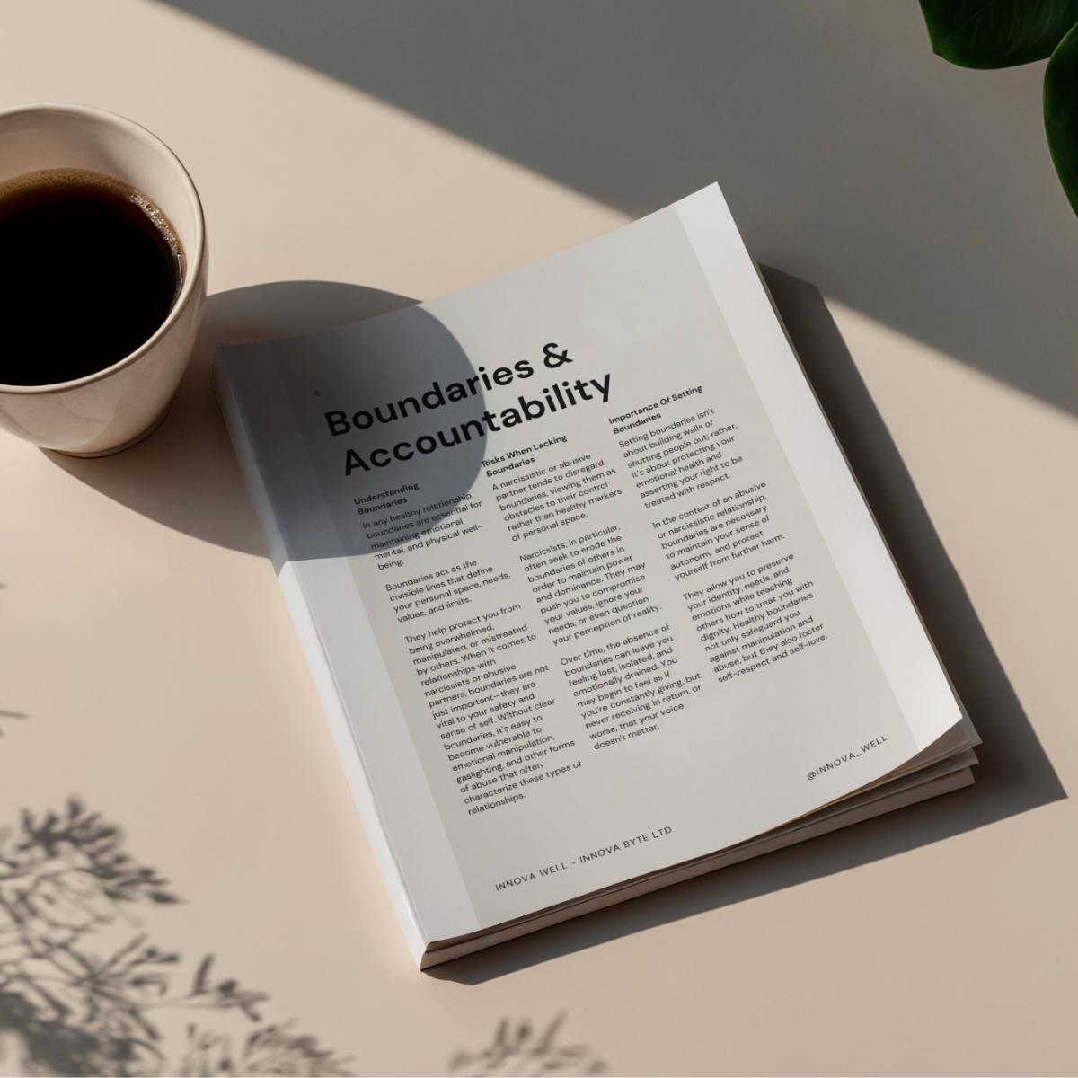 Innova Well™ - The Domestic Violence Survival Workbook